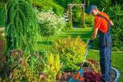 услуги  бригады садовников,  делаем любую работу в саду и огороде!!!   